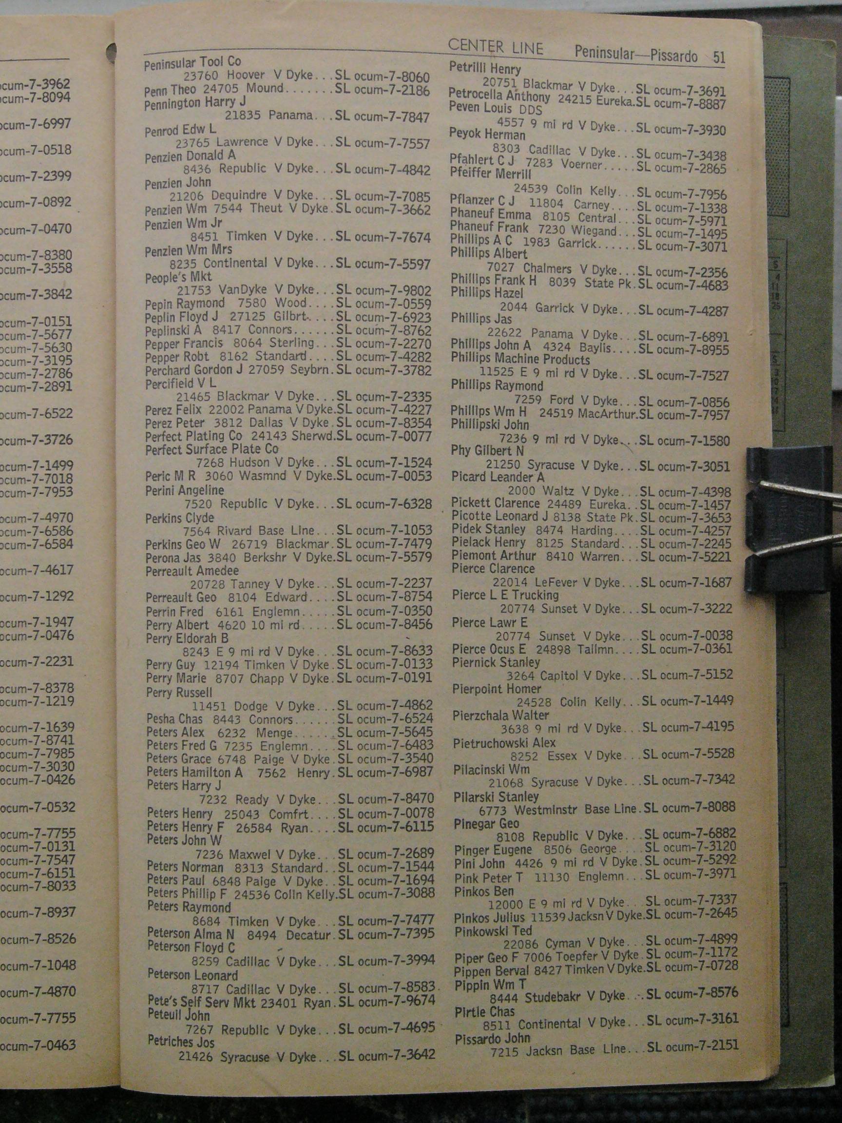 53_Peninsular-Pissardo.jpg (1728x2304; 553064 bytes)